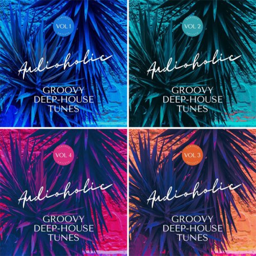 VA - Audioholic (Groovy Deep-House Tunes), Vol. 1 - 4 (2022)