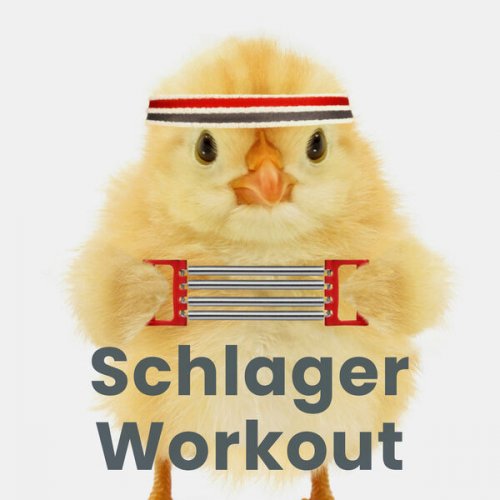 VA - Schlager Workout (2022)