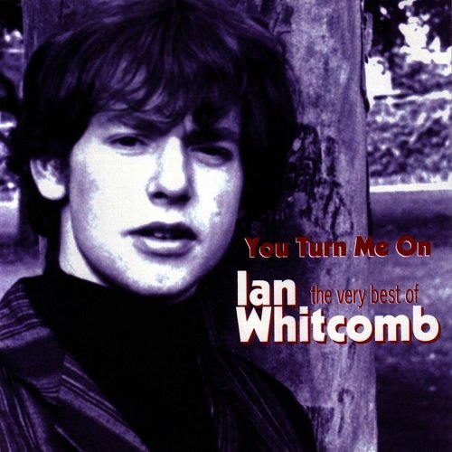 Ian Whitcomb - You Turn Me On The Very Best of Ian Whitcomb (2005)