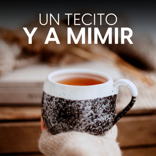 VA - Un tecito y a mimir (2022)