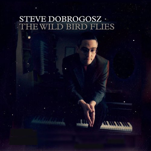 Steve Dobrogosz - The Wild Bird Flies (2022) [Hi-Res]