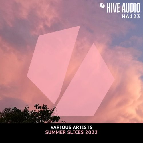 VA - Hive Audio Summer Slices 2022 (2022)