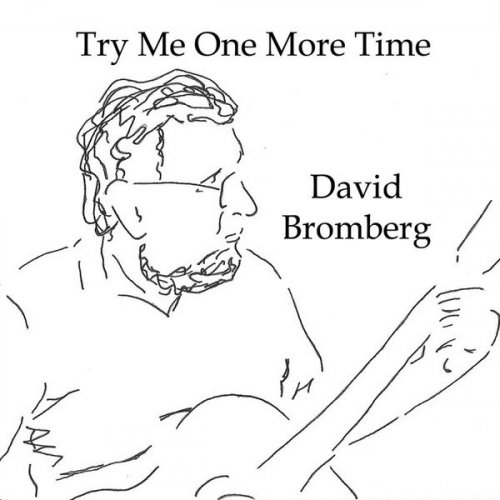 David Bromberg - Try Me One More Time (2007)