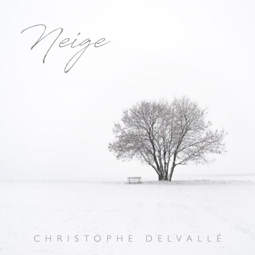 Christophe Delvallé - Neige (2022)