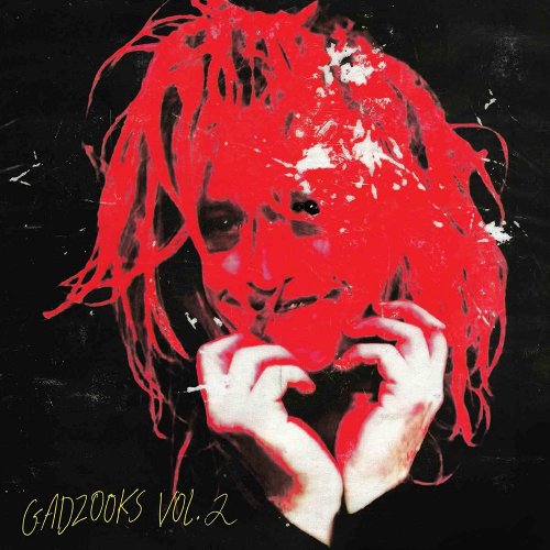 Caleb Landry Jones - GADZOOKS VOL. 2 (2022) Hi Res