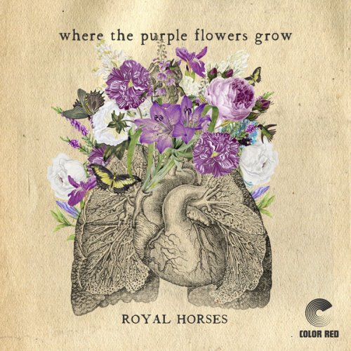 Royal Horses - Where The Purple Flowers Grow (2022) [Hi-Res]