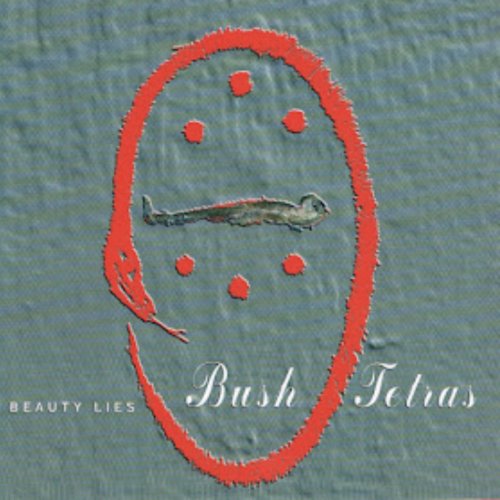 Bush Tetras - Beauty Lies (1997/2022)