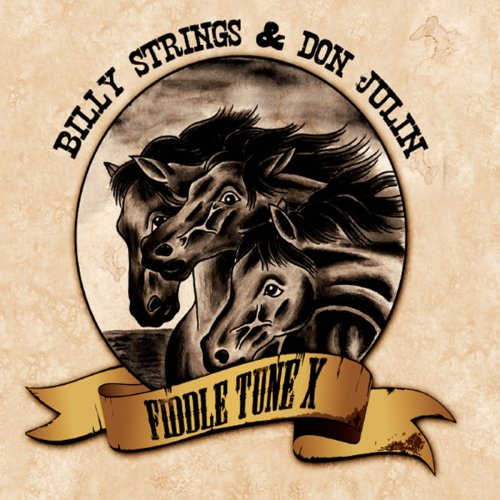 Billy Strings & Don Julin - Fiddle Tune X (2014)
