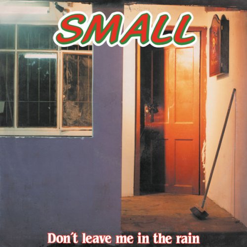 small - Don't Leave Me In The Rain (2022)