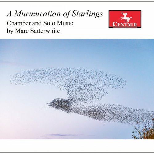 Various Artists - M. Satterwhite: A Murmuration of Starlings (2022)