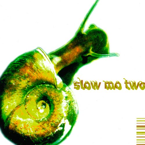 VA - Slow Mo Two (1999) CDRip FLAC