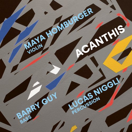 Maya Homburger, Barry Guy, Lucas Niggli - Acanthis (2022) [Hi-Res]