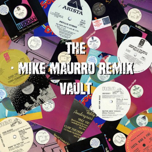 VA - The Mike Maurro Remix Vault (2022) [Hi-Res]