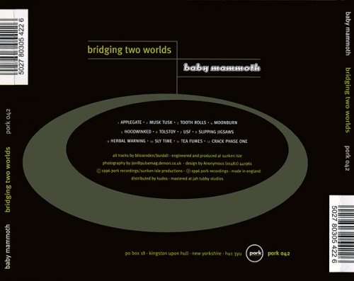 Baby Mammoth - Bridging Two Worlds (1997) FLAC