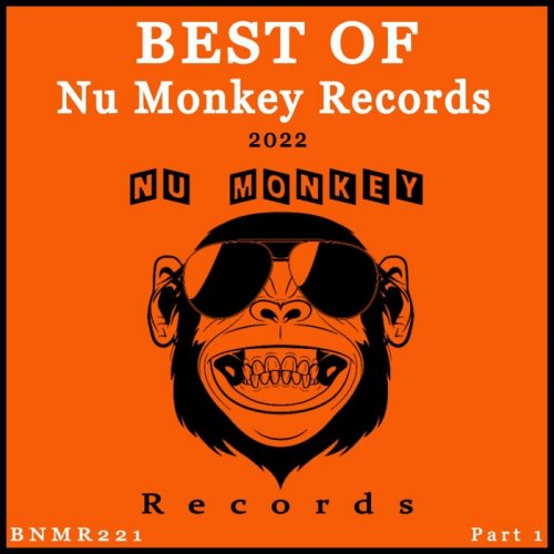 VA - Best Of Nu Monkey Records 2022, Pt. 1 (2022)