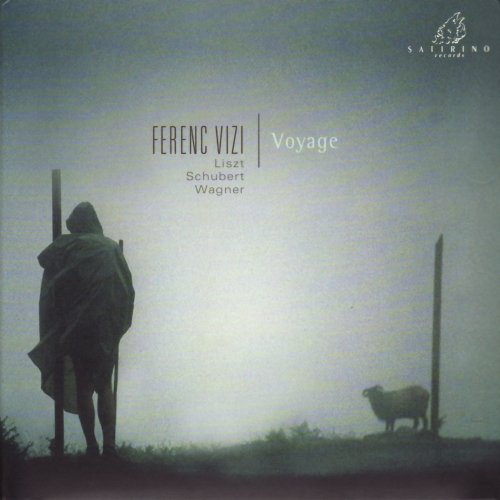 Ferenc Vizi - Voyage (2007)