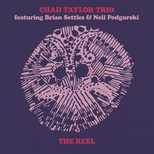 Chad Taylor Trio - The Reel (2022) [Hi-Res]