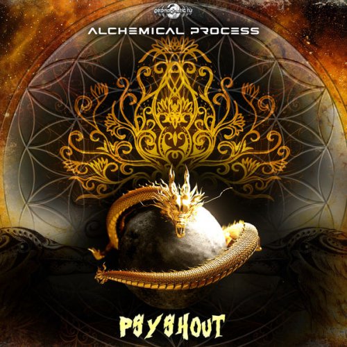 PsyShout - Alchemical Process (2022) FLAC