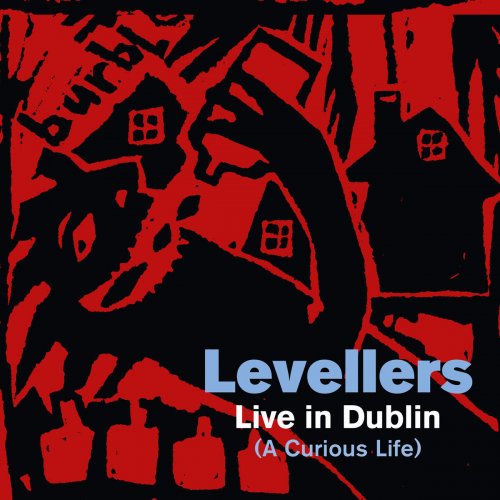 Levellers - A Curious Life (Live In Dublin) (2015)