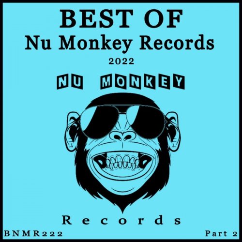 VA - Best Of Nu Monkey Records 2022 Part 2 (2023)