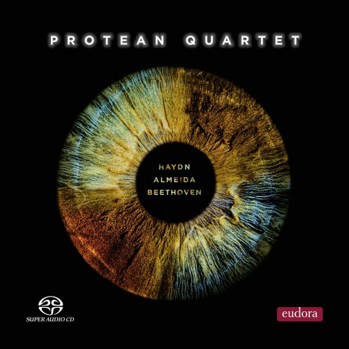 Protean Quartet - Haydn, Almeida & Beethoven (2023) [Hi-Res]