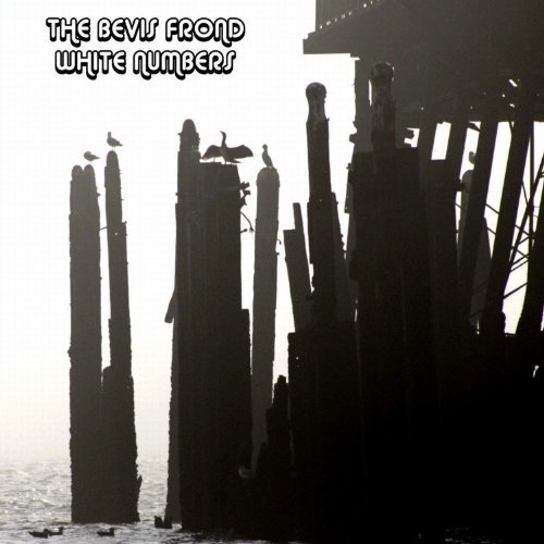 The Bevis Frond - White Numbers (2013)