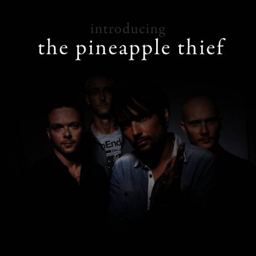 The Pineapple Thief - Introducing... The Pineapple Thief (2014)