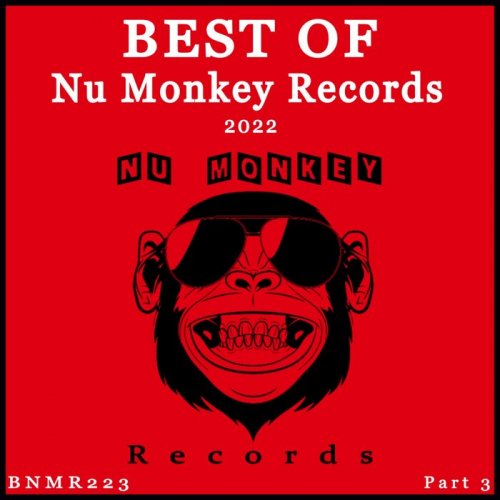 VA - Best Of Nu Monkey Records 2022, Pt. 3 (2023)