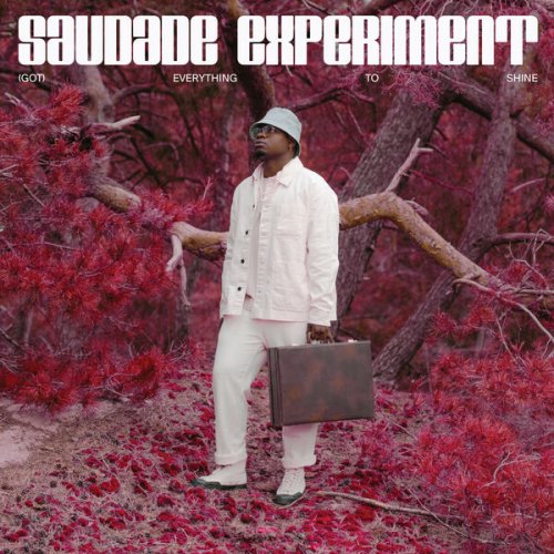 Saudade Experiment - (Got) Everything To Shine (2023) Hi-Res