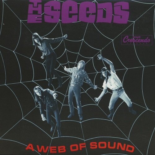 The Seeds - A Web of Sound (Deluxe Edition, Reissue, Remastered) (2013)