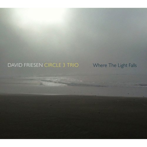David Friesen Circle 3 Trio - Where The Light Falls (2014)