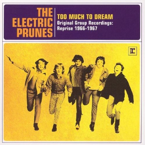 The Electric Prunes - Too Much to Dream: Original Group Recordings Reprise 1966-1967 (2007) Lossless