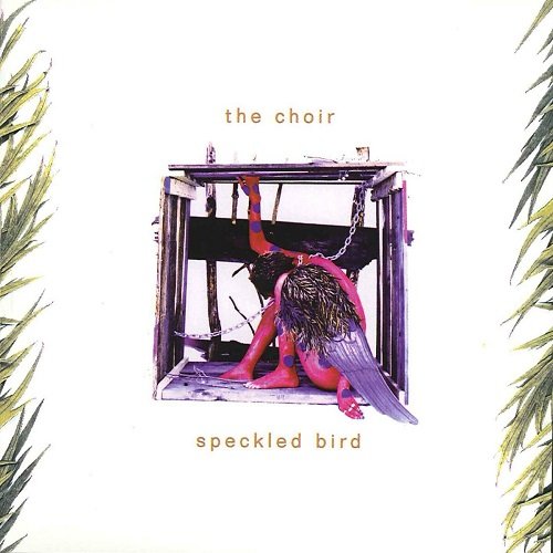 The Choir - Speckled Bird (1994)