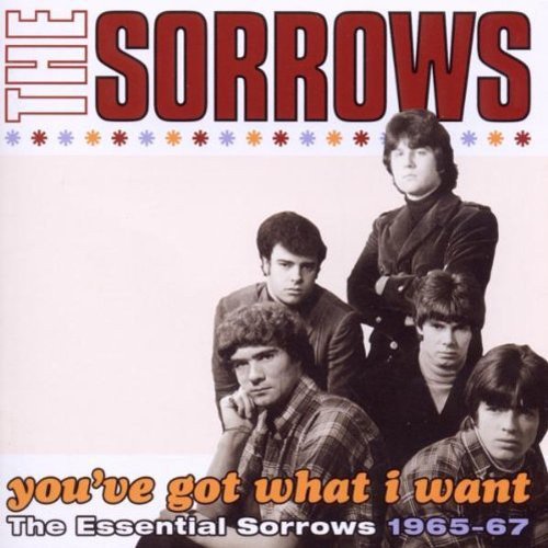 The Sorrows - You've Got What I Want: The Essential Sorrows 1965-67 (2010)