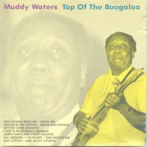 Muddy Waters - Top of the Boogaloo (1988)