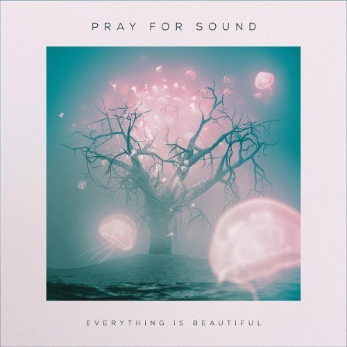 Pray For Sound - Everything Is Beautiful (2016) Lossless