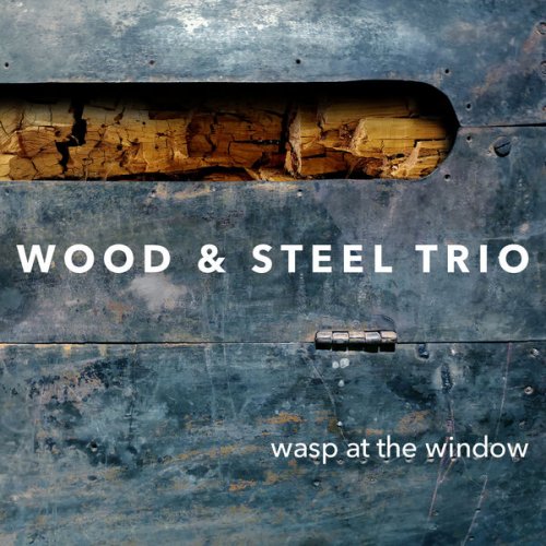 Wood & Steel Trio - Wasp at the Window (2023) [Hi-Res]