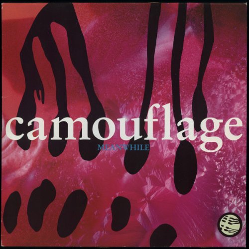 Camouflage ‎- Meanwhile (1991) LP