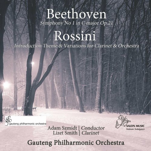 Gauteng Philharmonic Orchestra - Beethoven Symphony No. 1 (2023)