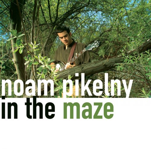 Noam Pikelny - In the Maze (2004)