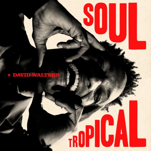 David Walters - Soul Tropical (2023) [Hi-Res]