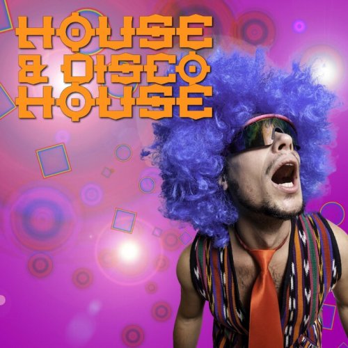 VA - House & Disco House (2023)