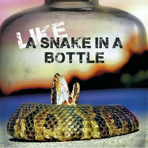 Like a Snake in a Bottle - Like a snake in a bottle (2023) [Hi-Res]