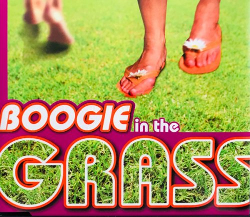 VA - Boogie in the Grass (2001)