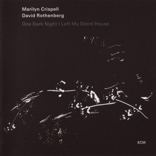 Marilyn Crispell & David Rothenberg - One Dark Night I Left My Silent House (2010) CD-Rip