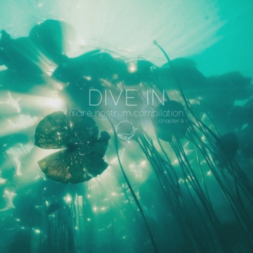 VA - Dive in Chapter 4 (2023)