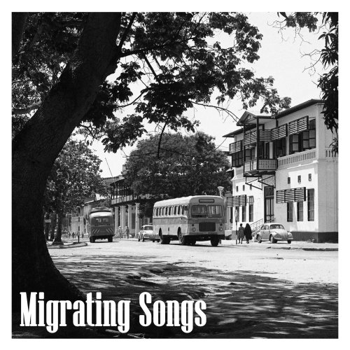 Niclas Knudsen Trio - Migrating Songs (2023) [Hi-Res]