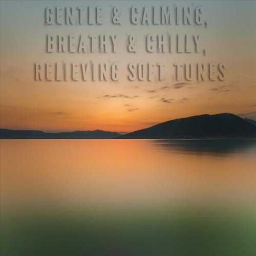 VA - Gentle & Calming, Breathy & Chilly, Relieving Soft Tunes (2023)