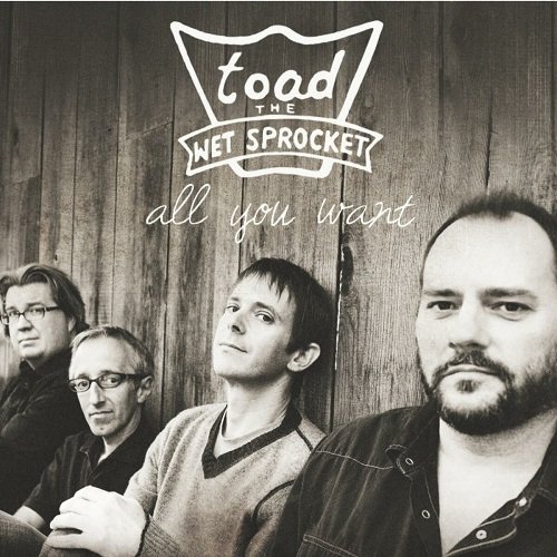 Toad the Wet Sprocket - All You Want (2011)