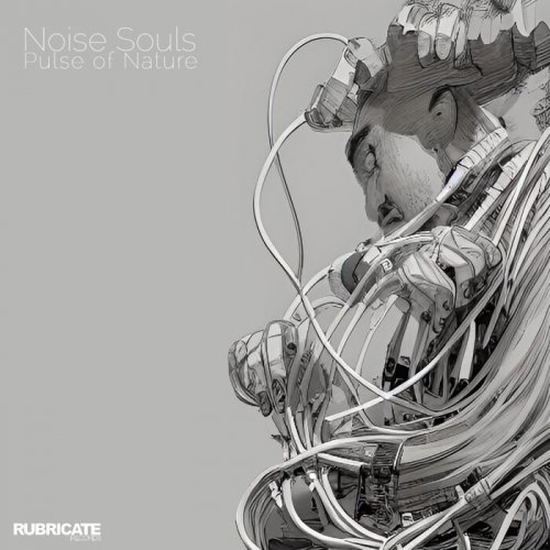 Noise Souls - Pulse Of Nature (2023)